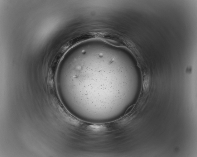 X0000113620477200909251210