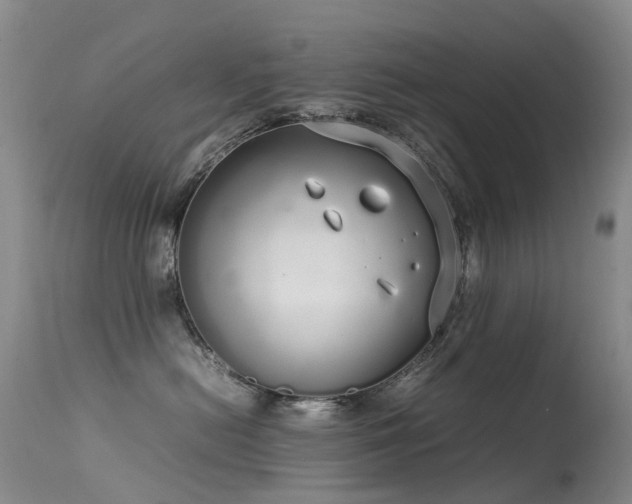 X0000113620478200909251210