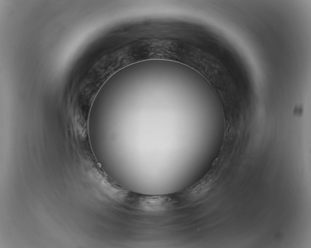 X0000113620479200909251210