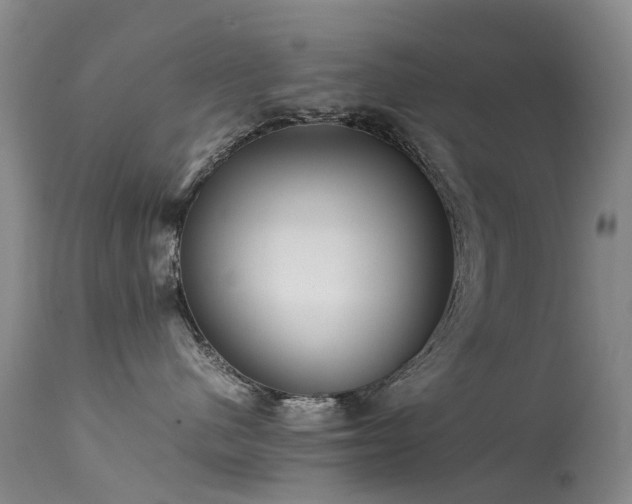 X0000113620480200909251210