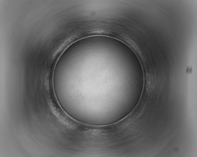 X0000113620482200909251210