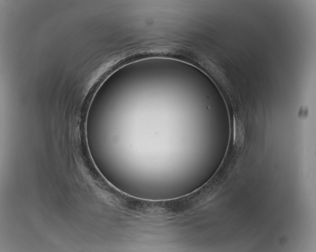 X0000113620483200909251210