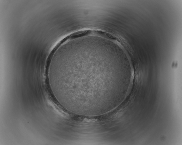 X0000113620484200909251210