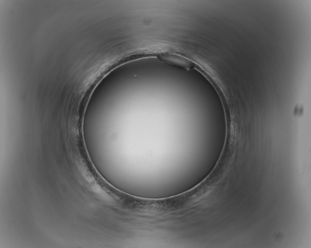 X0000113620485200909251210