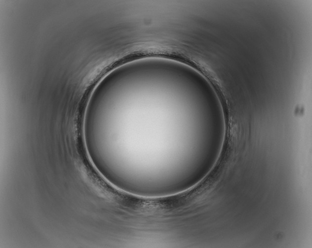 X0000113620487200909251210