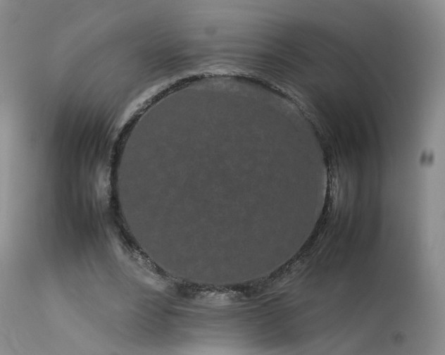 X0000113620488200909251210