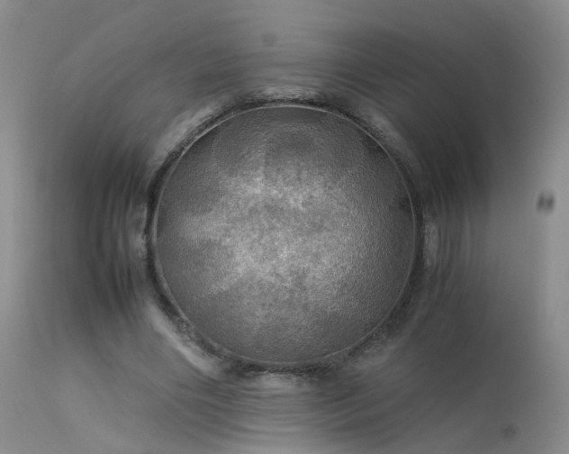 X0000113620490200909251210