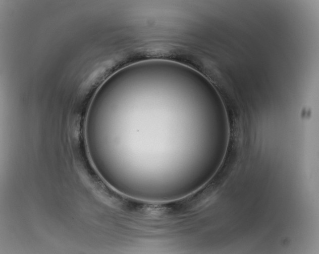 X0000113620495200909251209