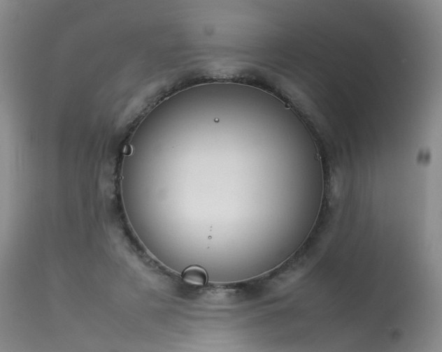 X0000113620497200909251209