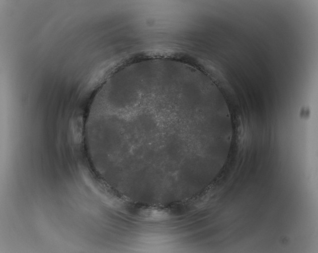 X0000113620498200909251209