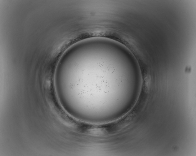 X0000113620499200909251209