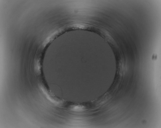 X0000113620500200909251209