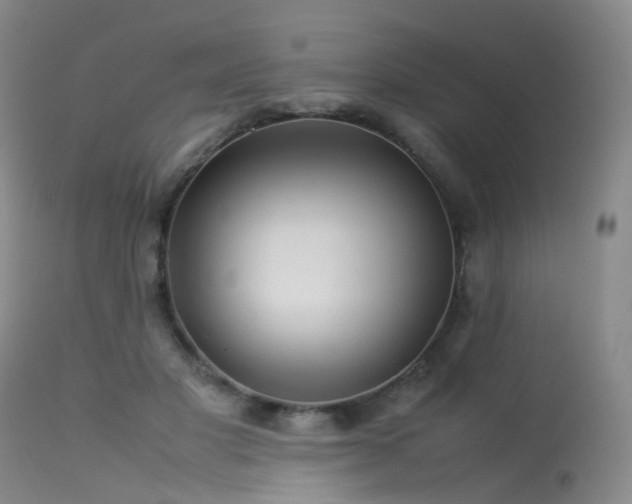 X0000113620501200909251209