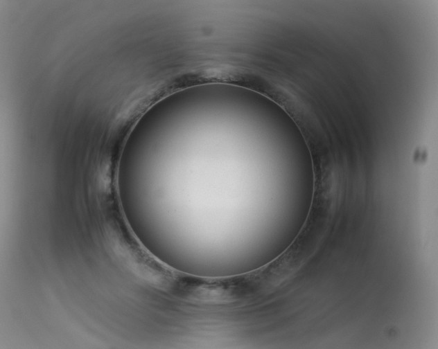 X0000113620502200909251209