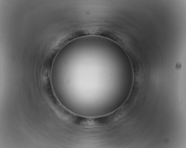 X0000113620503200909251209