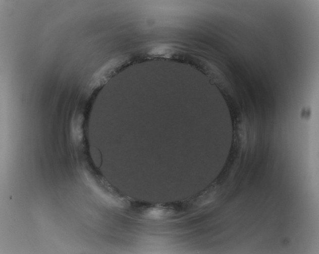 X0000113620504200909251209