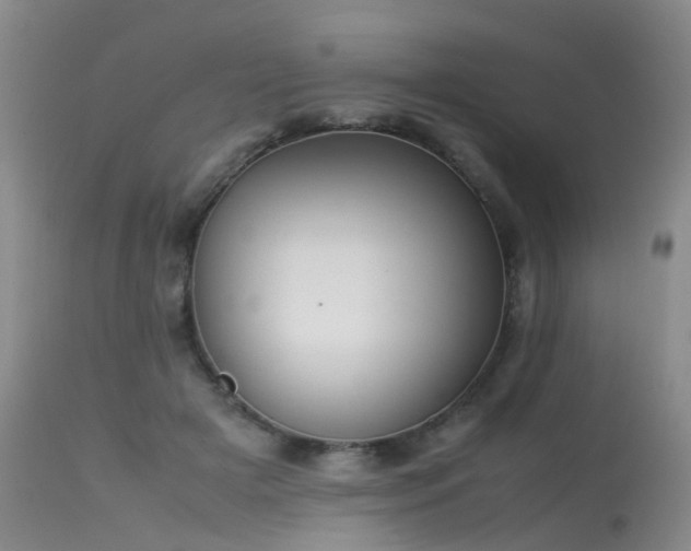 X0000113620505200909251209