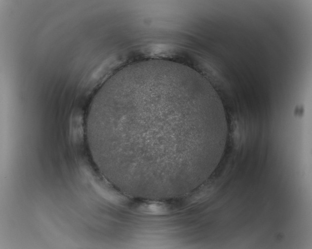 X0000113620506200909251209