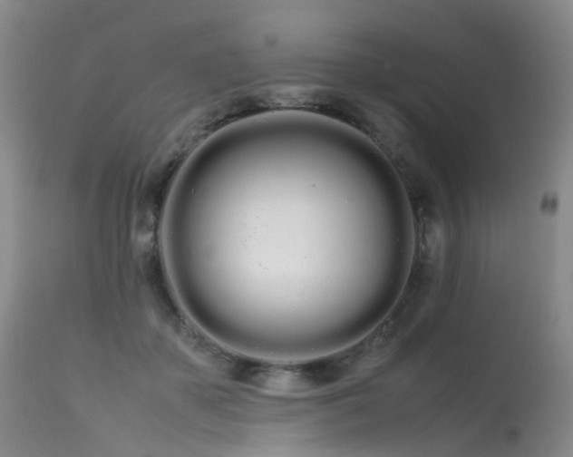 X0000113620507200909251209