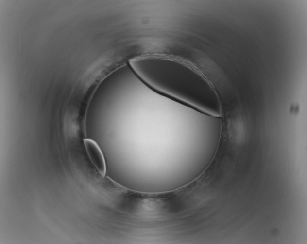 X0000113620508200909251209