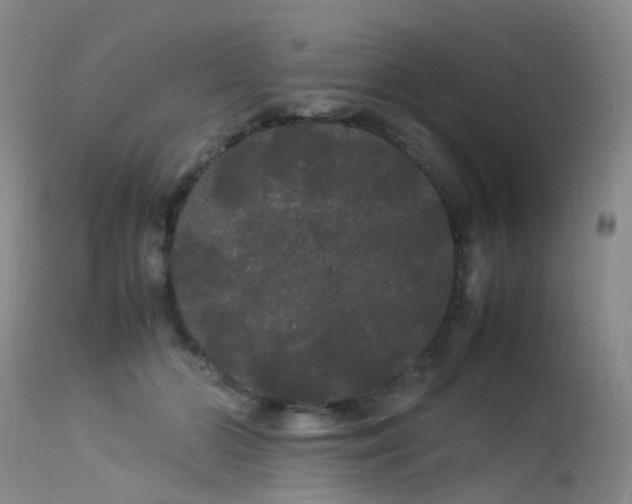 X0000113620510200909251209