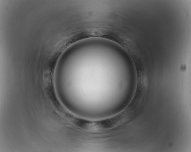 X0000113620511200909251209