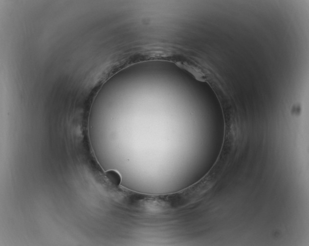 X0000113620512200909251209