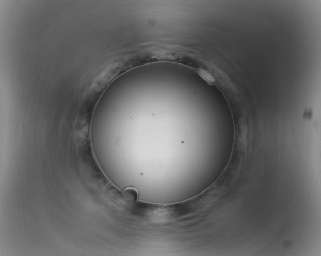 X0000113620513200909251209