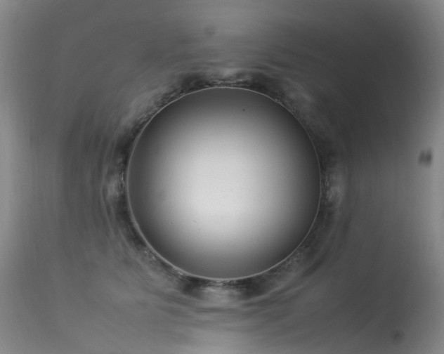 X0000113620515200909251209