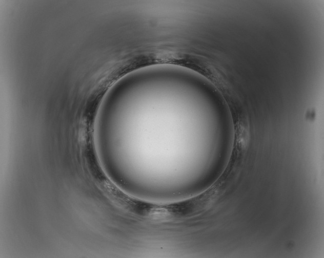 X0000113620519200909251209