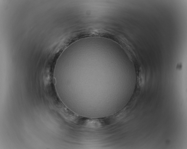 X0000113620520200909251209