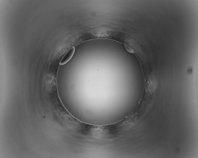 X0000113620521200909251209