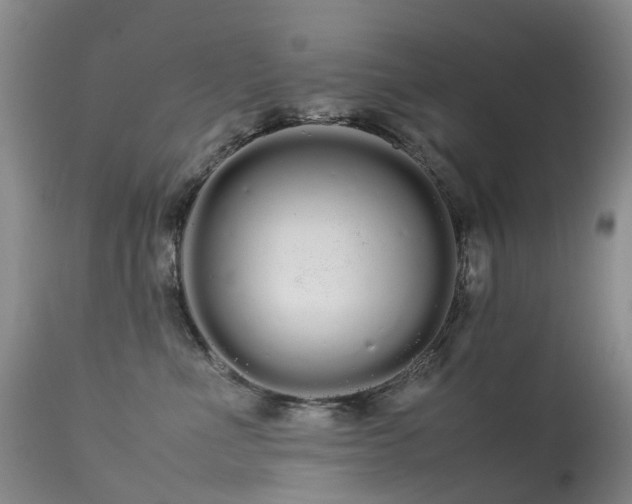 X0000113620523200909251209