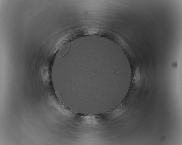 X0000113620524200909251209