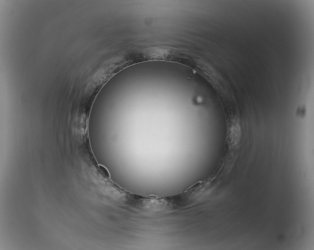 X0000113620525200909251209