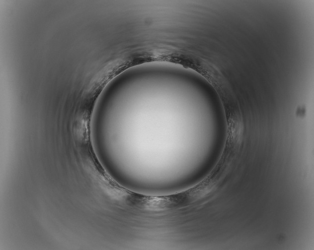 X0000113620527200909251209