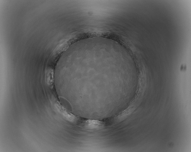 X0000113620528200909251209