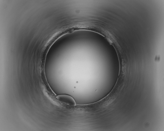 X0000113620530200909251208