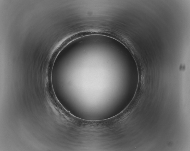 X0000113620532200909251208