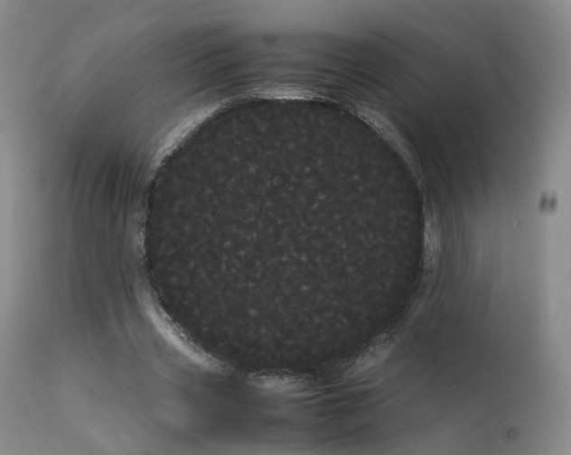 X0000113620533200909251208