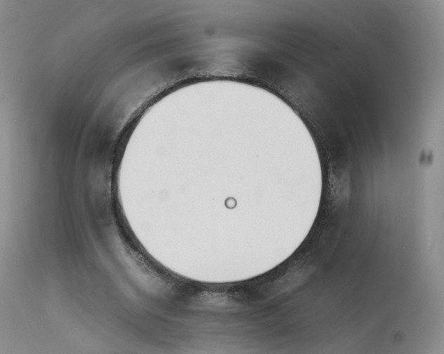 X0000113620534200909251208