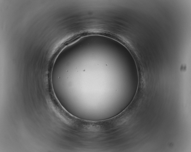 X0000113620535200909251208