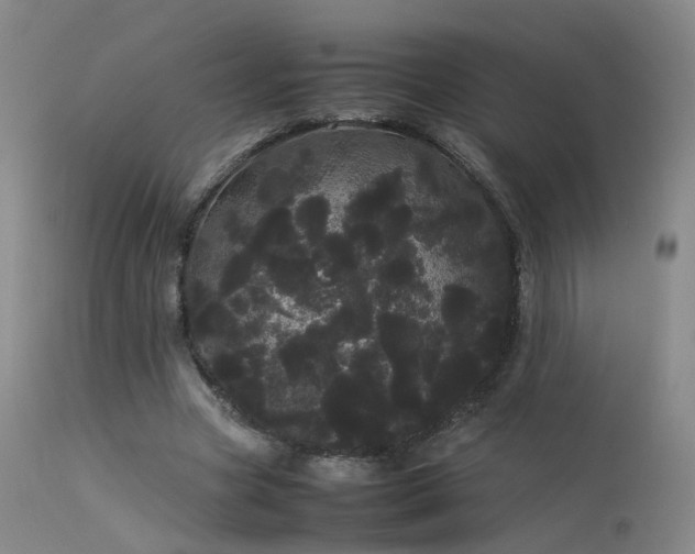 X0000113620537200909251208