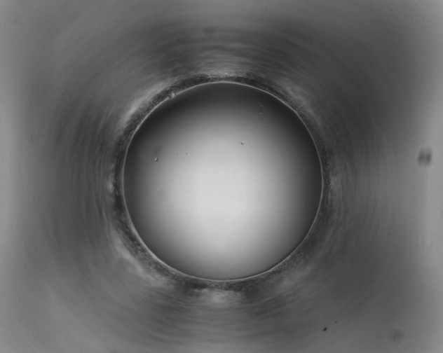 X0000113620539200909251208