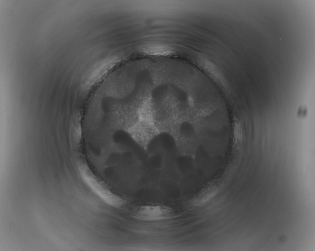 X0000113620541200909251209