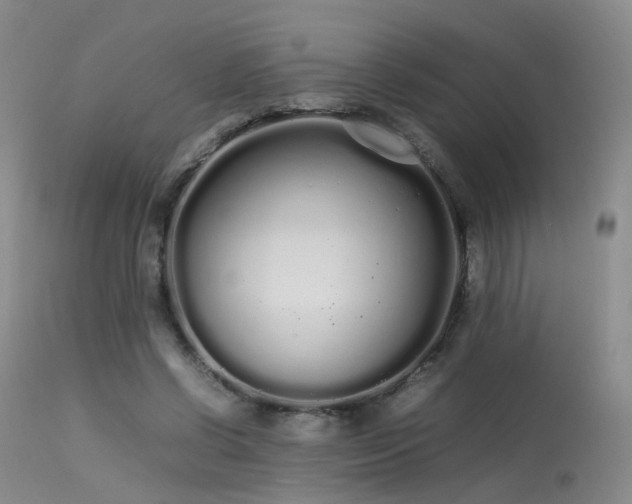 X0000113620542200909251209