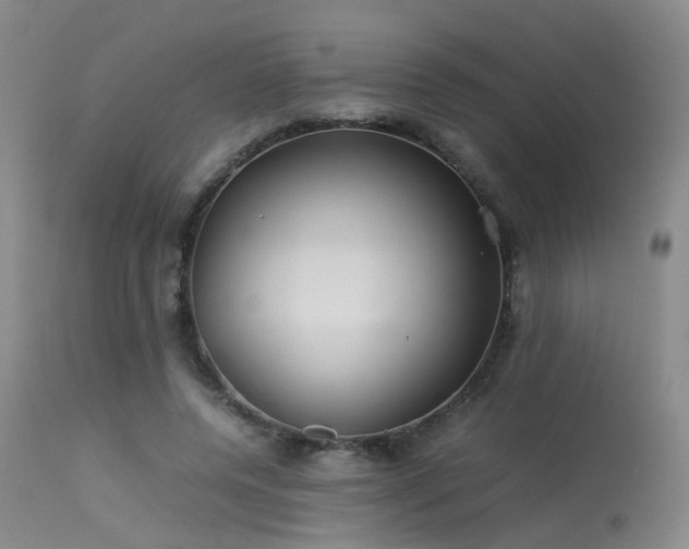 X0000113620544200909251209