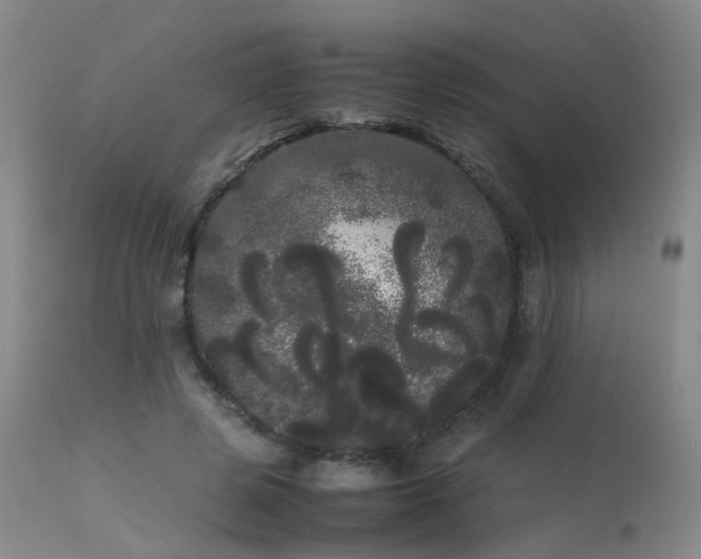 X0000113620545200909251209