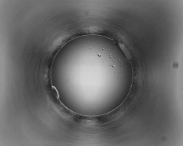 X0000113620548200909251209