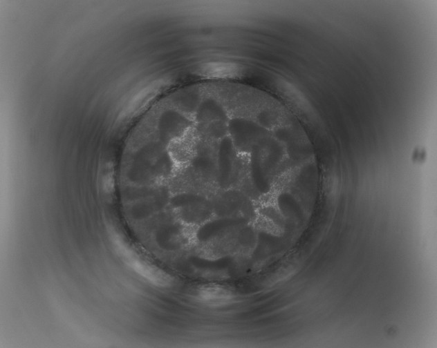 X0000113620549200909251209